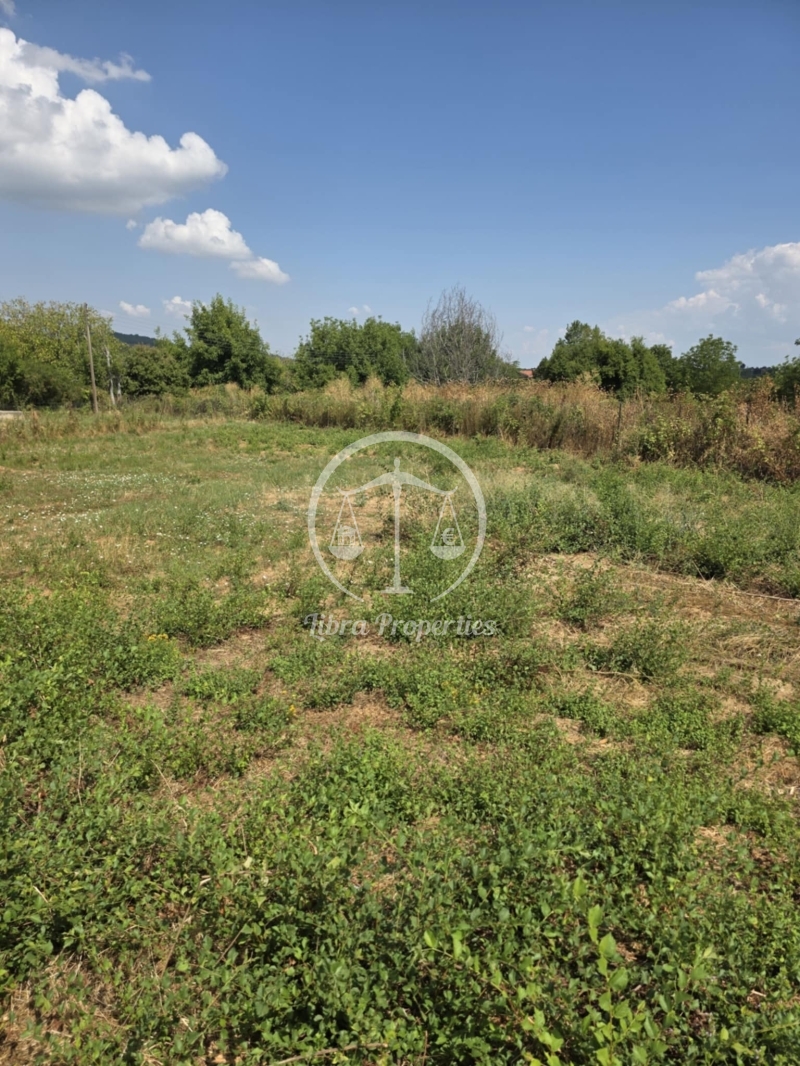 property-img